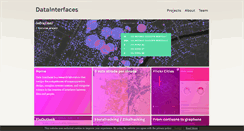 Desktop Screenshot of datainterfaces.org